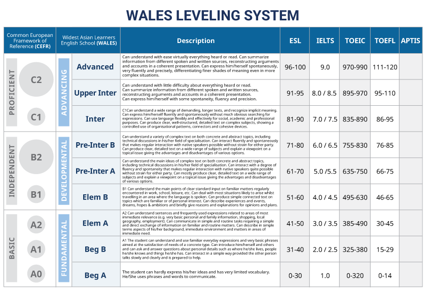 WALES LEVELING SYSTEM
